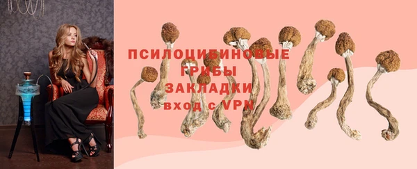 прущий лед Зеленокумск