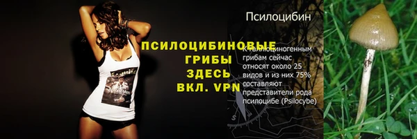 мет Зеленодольск