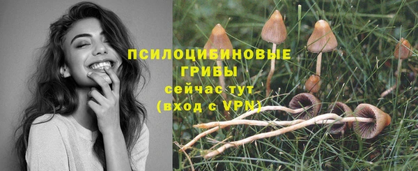 мет Зеленодольск