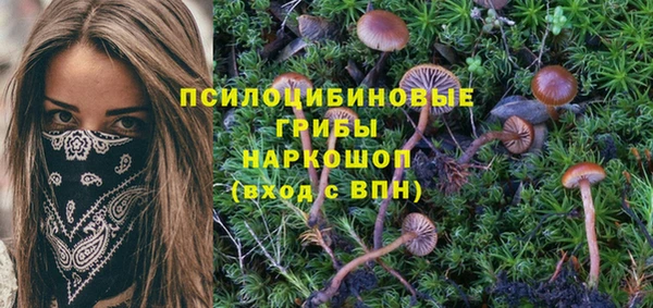 мет Зеленодольск