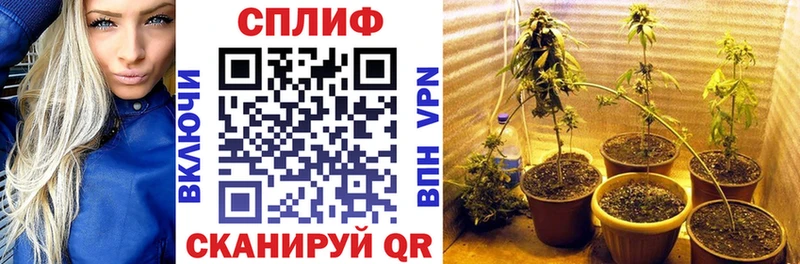 Купить  Тара  МАРИХУАНА MAZAR 